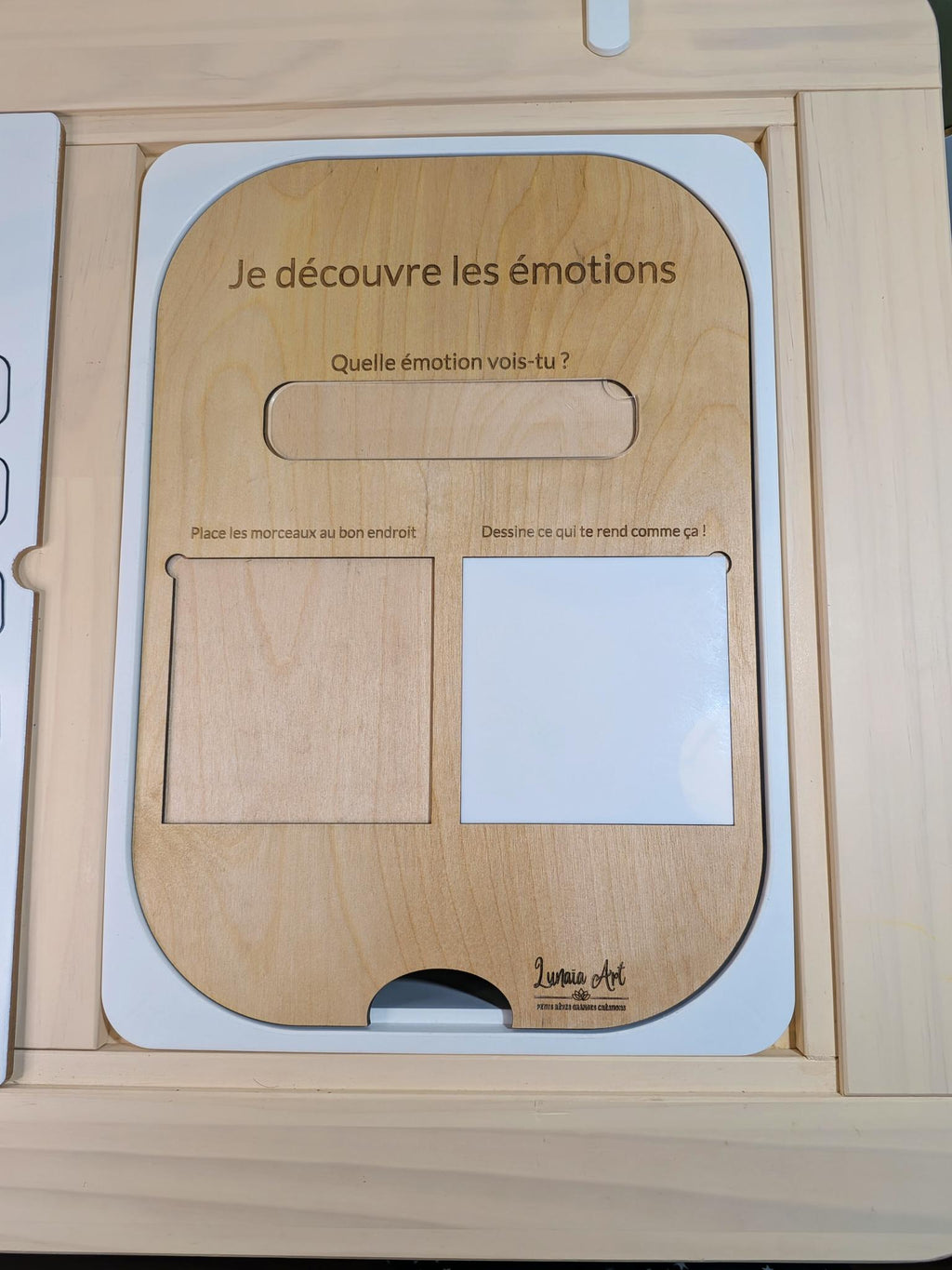 Je découvre les émotions