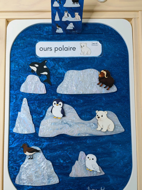 Le monde polaire