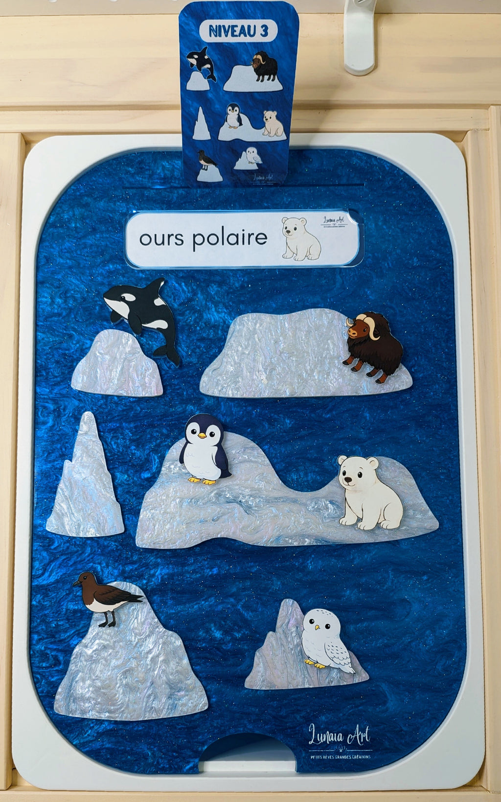 Le monde polaire