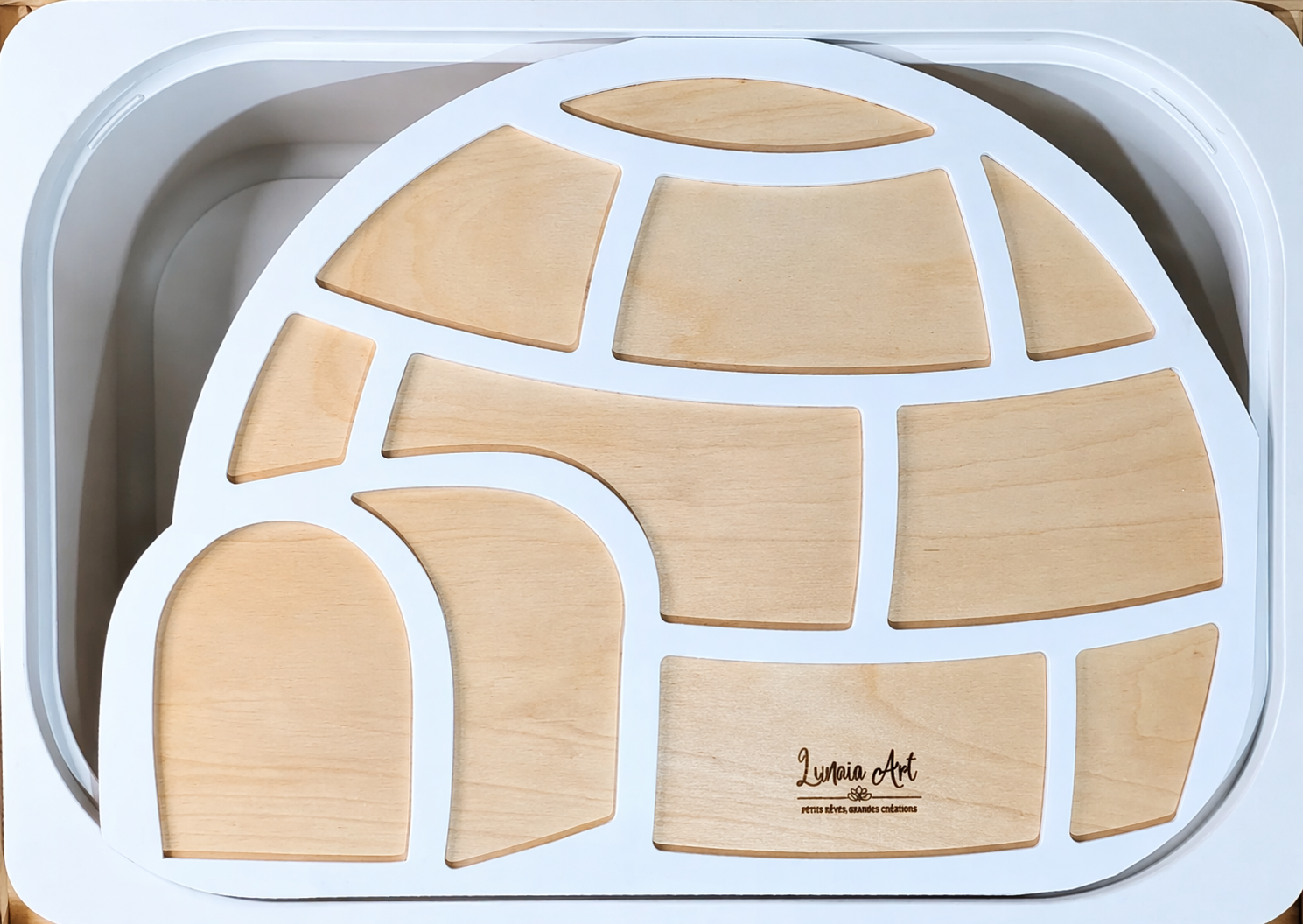 Igloo créatif (plateau)